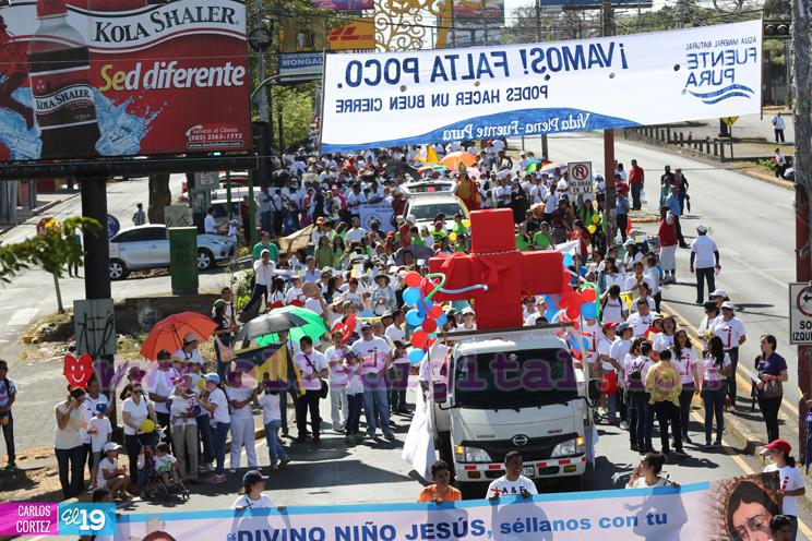 Miles participan en caminata “Si Quieres la Paz Defiende la Vida”